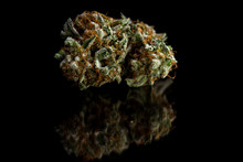 Beautiful Marijuana Close Up