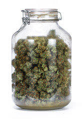 Wall Mural - glass jar full of cannabis