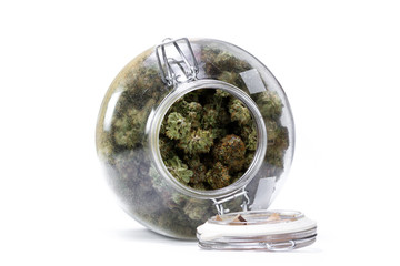 Wall Mural - glass jar full of cannabis