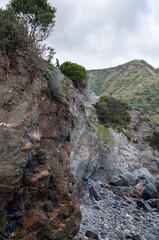 Wall Mural - Santa Catalina Island Two Harbors