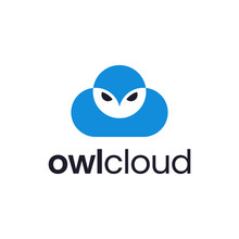 Owl Bird Animal With Cloud Logo Design Template