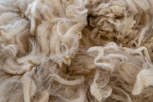 Fine, Soft, Warm Alpaca Wool 