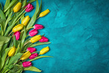 Fototapeta Tulipany - Beautiful fresh yellow and pink tulips bouquet