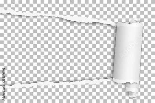 Download Torn Elongated Hole From Left To Right Side In Transparent Sheet Of Paper With Wrapped Paper Tear Vector Template Design Paper Mockup Buy This Stock Vector And Explore Similar Vectors At PSD Mockup Templates