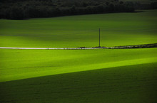  Beautiful Green Fields, With A Road Cutting Through The Landscape.