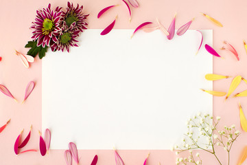 Wall Mural - Flowers and sheet of paper on a pink background. Floral design for writing text. Chrysanthemums, gerbera petals and gypsophila on a pink feather create a romantic mood in spring and summer.