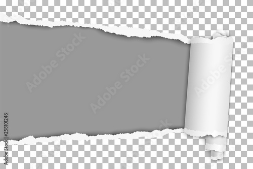 Torn Elongated Hole From Left To Right Side In Transparent Sheet Of Paper With Wrapped Paper Tear And Dark Gray Background Of Resulting Window Vector Template Design Paper Mockup Buy This