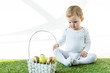 cute baby sitting on green grass near straw basket with traditional Ester eggs isolated on white