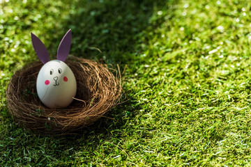 chicken egg with funny bunny face and paper ears in nest on green grass