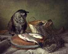 Still Life With Fish And Cat
