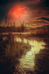 Wall Mural - landscape at night time in the forest lake with fogy and darkness sky super blood moon.