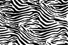 Black And White Zebra Pattern Texture