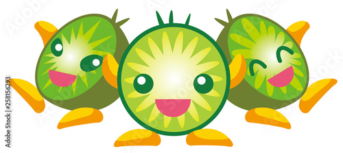 キウイフルーツのイラスト Stock Vector Adobe Stock キウイフルーツのイラスト Stock Vector Adobe Stock