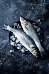 Wall Mural - Fresh raw seabass fish on black stone background with ice. Culinary seafood background. Top view, copy space