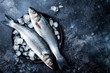 Fresh raw seabass fish on black stone background with ice. Culinary seafood background. Top view, copy space