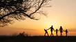 © alex_marina - Silhouettes of happy family walking together in the meadow during sunset
