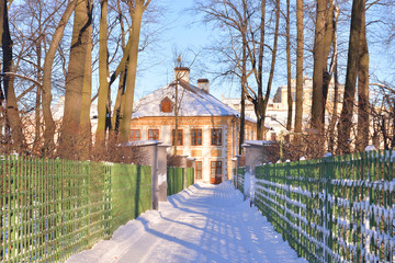 Wall Mural - Alley in Summer Garden at winter in St.Petersburg.