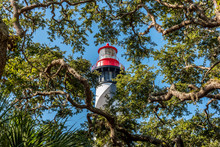 Lighthouse Behind Trees