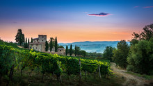 Panorama Of Tuscan Vineyard Covered In Fog At The Dawn Near Castellina In Chianti, Italy