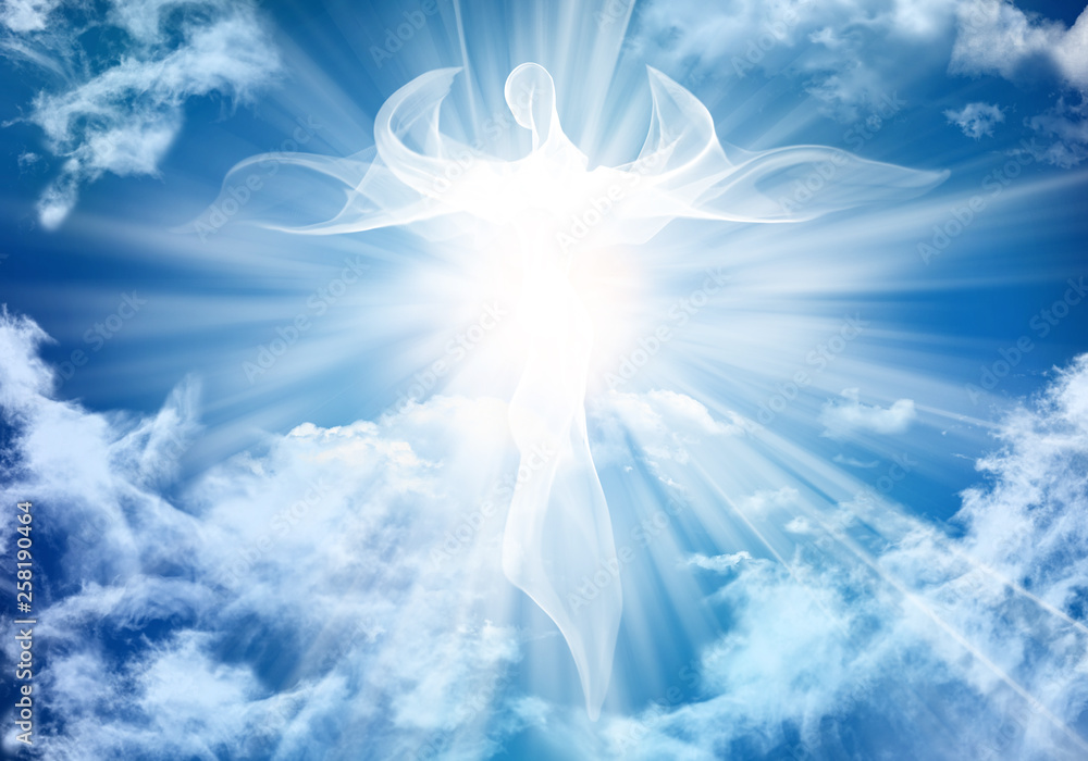 専用ページ ANGEL IN CLOUDS THE MONSTERS ANGEL IN CLOUDS - ZIMOMO