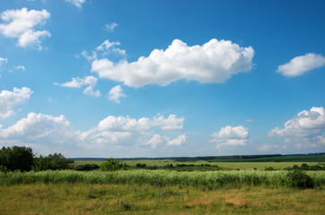 green meadow and blue sky with clouds in summer