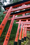 Fototapeta Natura - Close-Up of Torii Gates on the Inari mountain in the forest. Fushimi Inari Taisha, Kyoto, Japan
