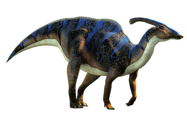 Plakat zwierzę gad natura dinozaur bestia