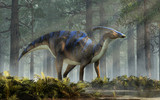 A parasaurolophus, a type of herbivorous ornithopod dinosaur of the hadrosaur family in profile stands in a forest of fir trees with a floor of ferns with rays of light shining down. 3D Rendering. 