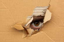 The Human Eye Looks Out Of A Hole In The Cardboard, The Concept Of Surveillance, Peeping