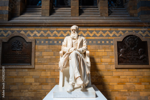 Fotomural Statue of Sir Charles Darwin at The Natural History Museum in London