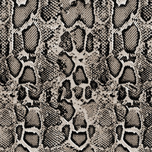 Snake Skin Print