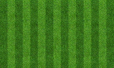 Wall Mural - Green grass field background for soccer and football sports. Green lawn pattern and texture background. Close-up.