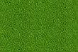 Green grass pattern and texture for background. Close-up.