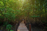 Fototapeta Perspektywa 3d - bridge wooden walking way in The forest mangrove in Chanthaburi Thailand.