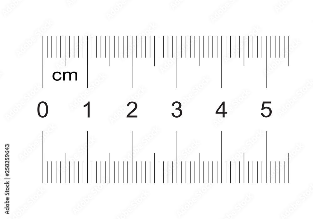 Ruler of 50 millimeters. Ruler of 5 centimeters. Calibration grid ...