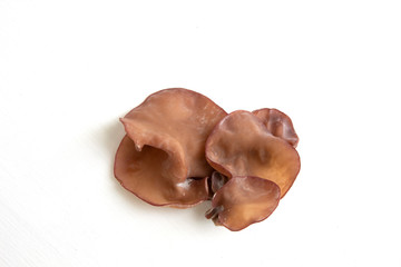 ear mushroom  isolated on white background