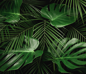 Wall Mural - Monstera and palm leaves jungle texture