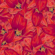 Seamless background. Flowers. Tulips. Stylization: watercolor.