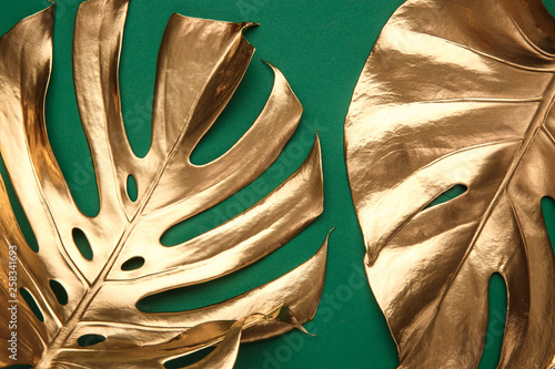 Fotomural Golden monstera leaf on green background