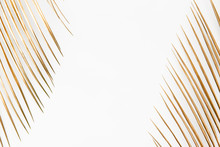 Golden Palm Leaves On White Background