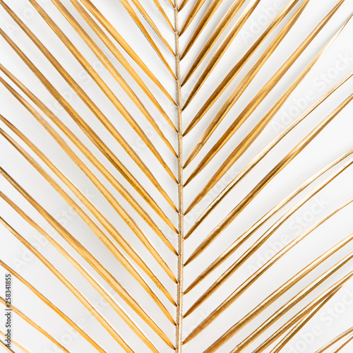 Dekostoffe - Gold palm leaf on white background (von mykolastock)