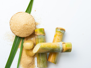 Aufkleber - sugar cane and leaf with brown sugar