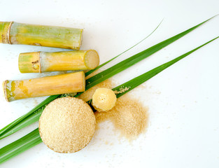 Aufkleber - sugar cane and leaf with brown sugar