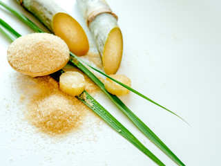 Aufkleber - sugar cane and leaf with brown sugar