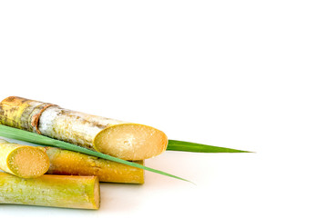 Aufkleber - ugar cane and leaf with brown sugar