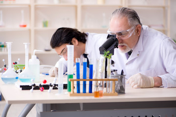 two chemists working in the lab