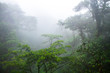 © Kevin - The middle and upper canopy of the lush Monteverde cloud forest in Costa Rica, with typical dense clouds.