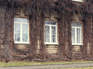 Wall Mural - GRODNO, BELARUS - MARCH 18, 2019: Beautiful building in the city of Grodno..