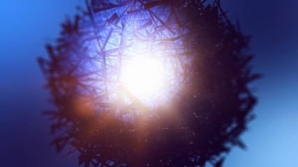 Wall Mural - abstract circular design of sunburst and branches