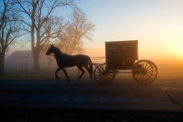 Wall Mural - Amish Buggy at Dawn